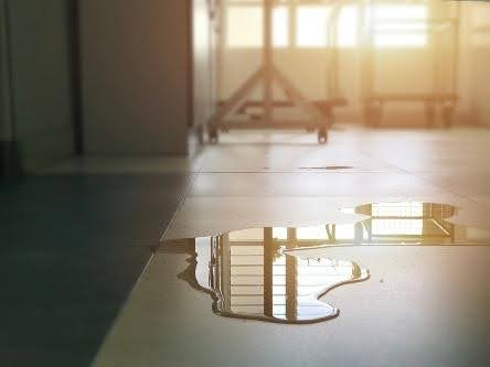 Whole Home Shut Off Best Plumbing 8820 Aurora Ave N, Seattle, WA 98103, United States of America.(5) Whole Home Shut Off Best Plumbing 8820 Aurora Ave N, Seattle, WA 98103, United States of America