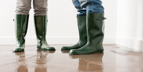 Sump Pump Repair Best Plumbing 8820 Aurora Ave N, Seattle, WA 98103, United States of America(7)